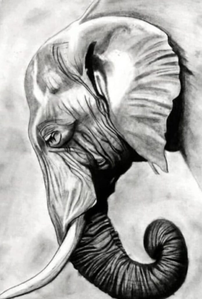 whatsapp image 2026 02 05 at 5.54.30 pm (1)