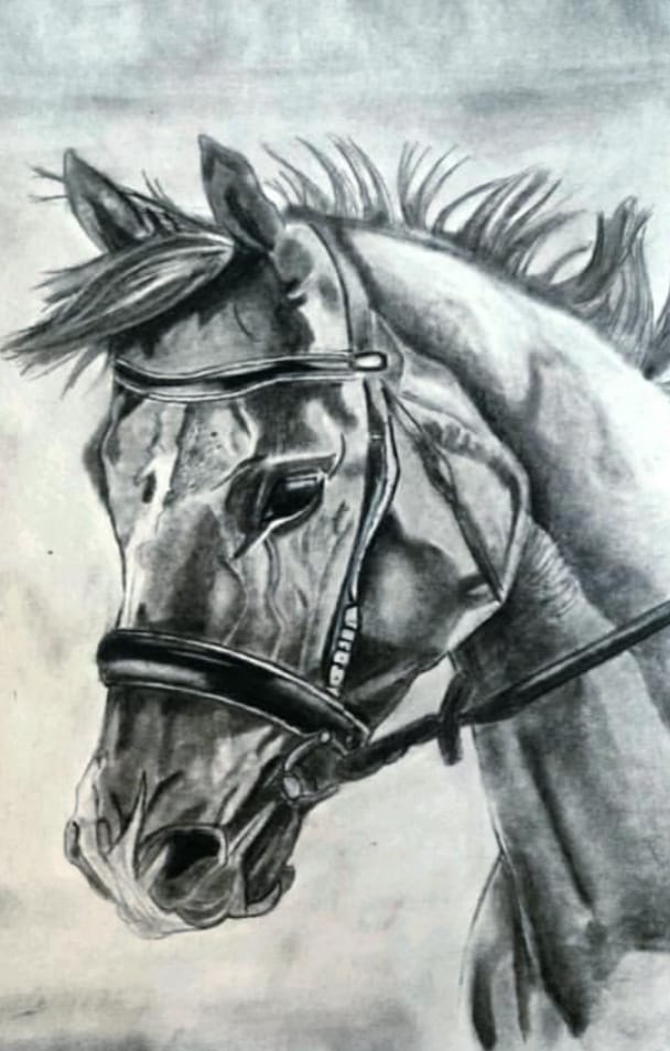 whatsapp image 2026 02 05 at 5.54.30 pm